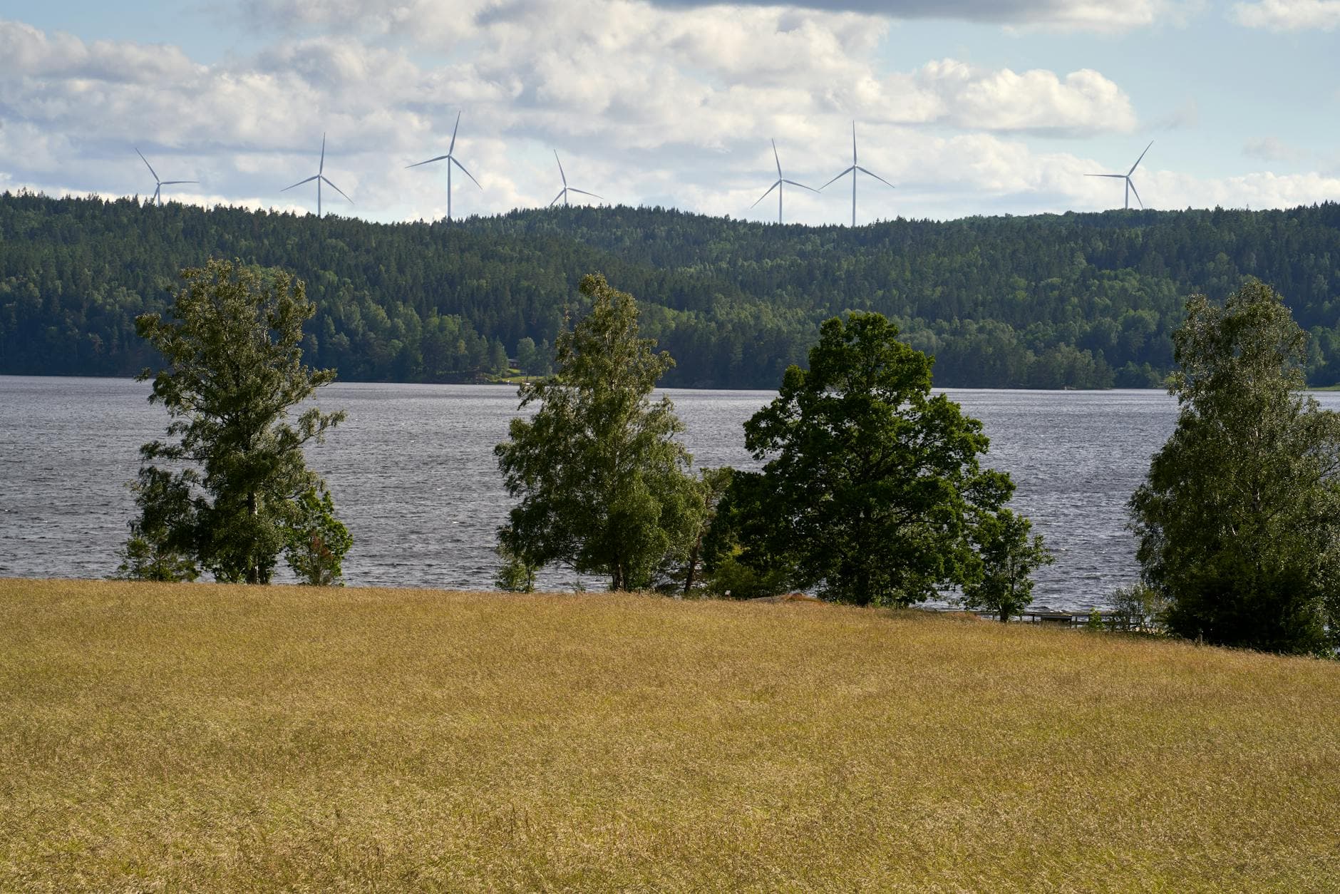 Energy Sector Partnership