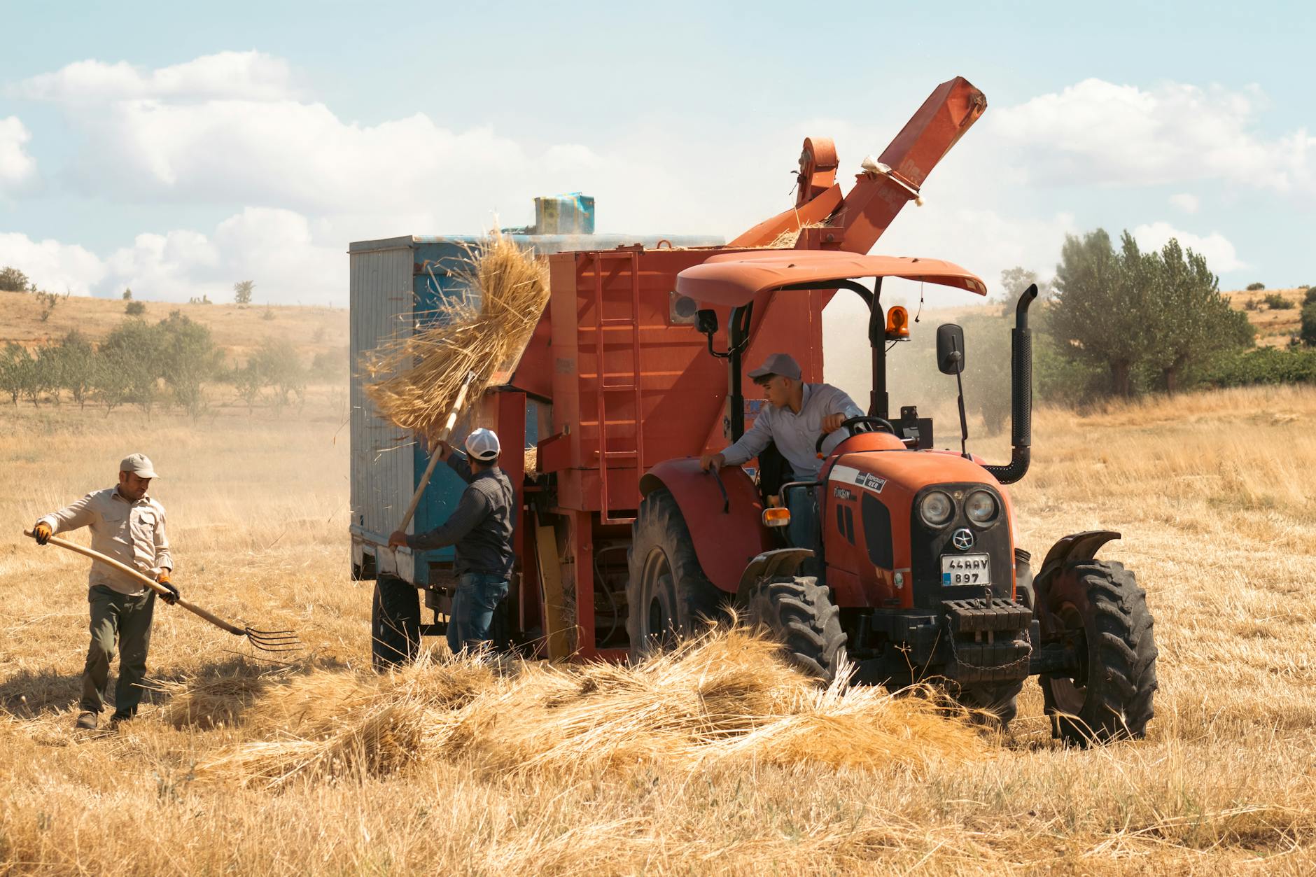 Agriculture & Food