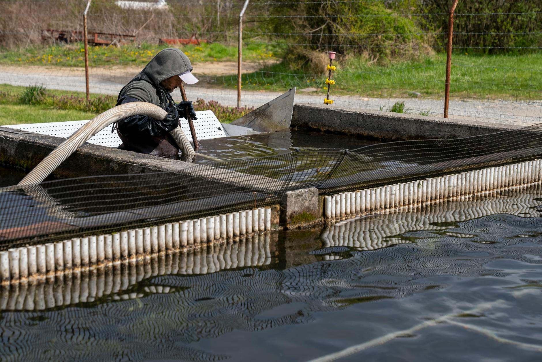 Aquaculture Development