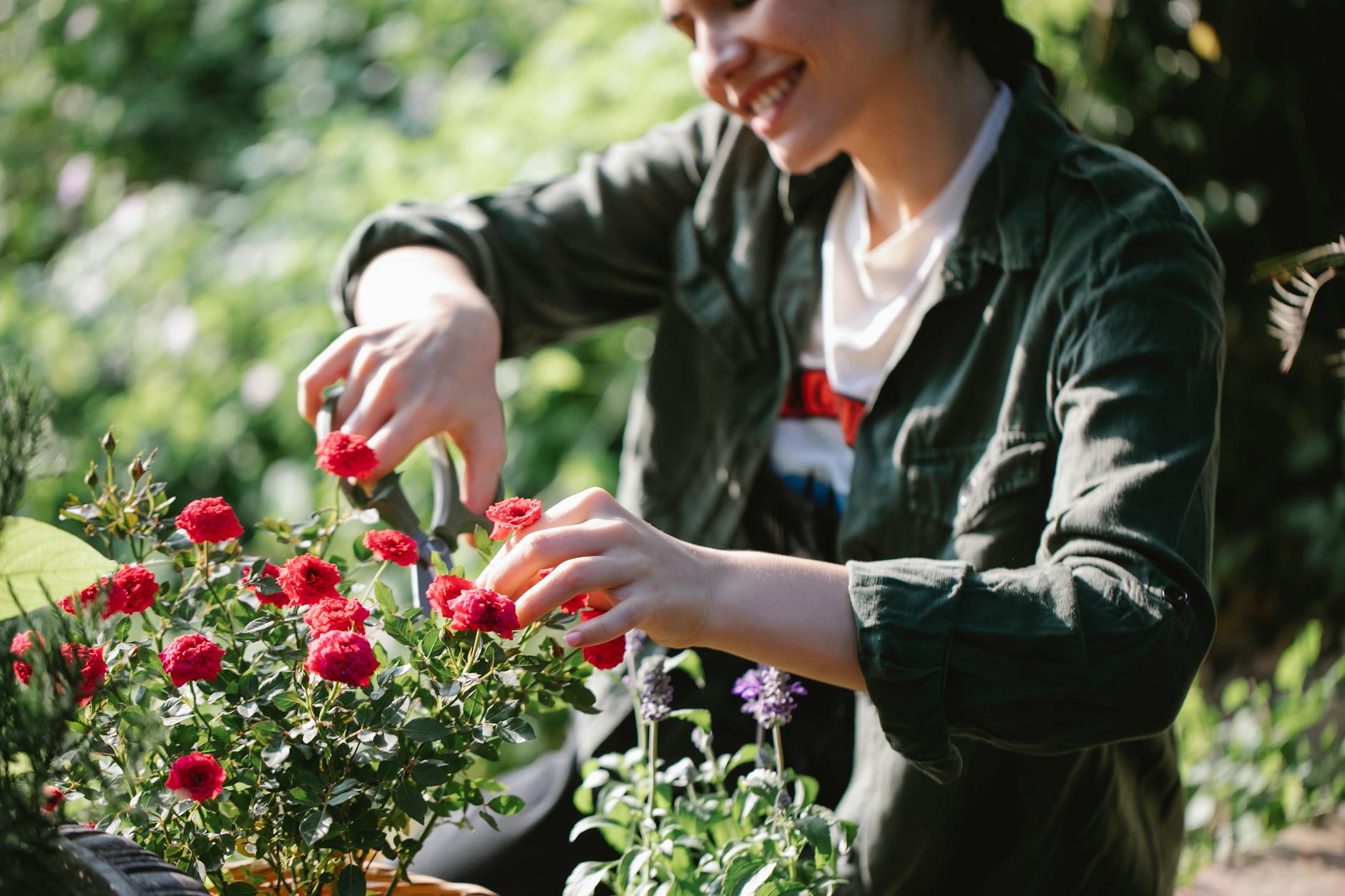 Horticulture Export