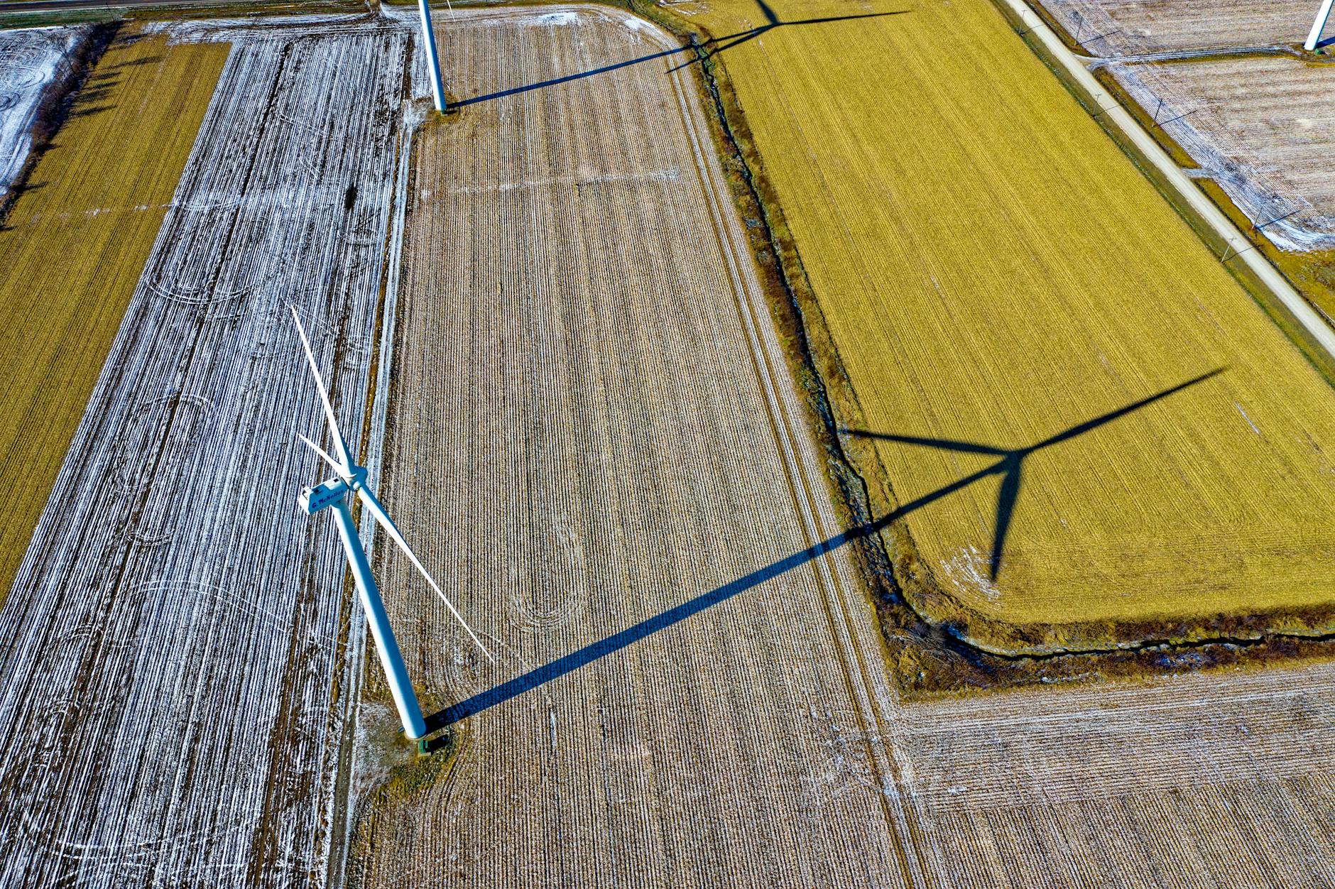 Wind Farm Development